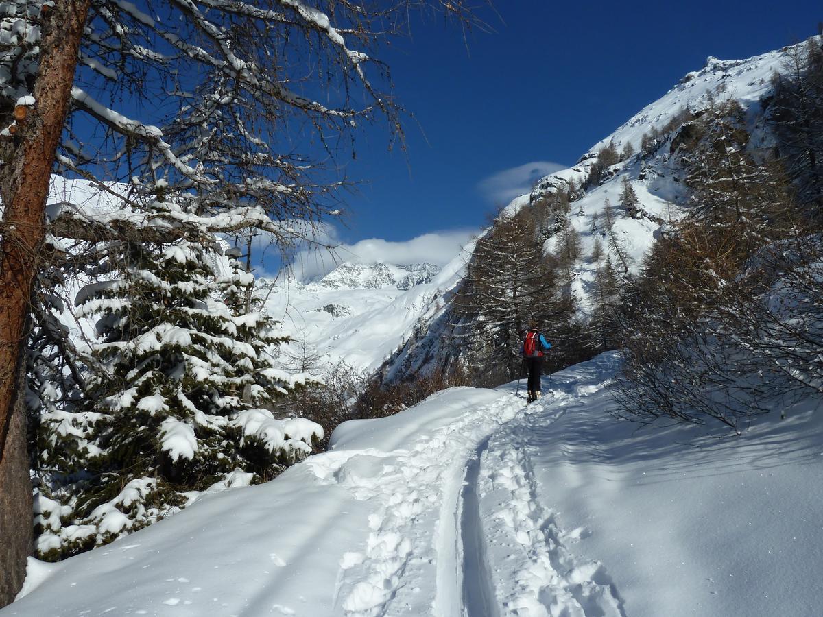 Готель Alpengasthof Lucknerhaus Кальс-ам-Гросглокнер Екстер'єр фото