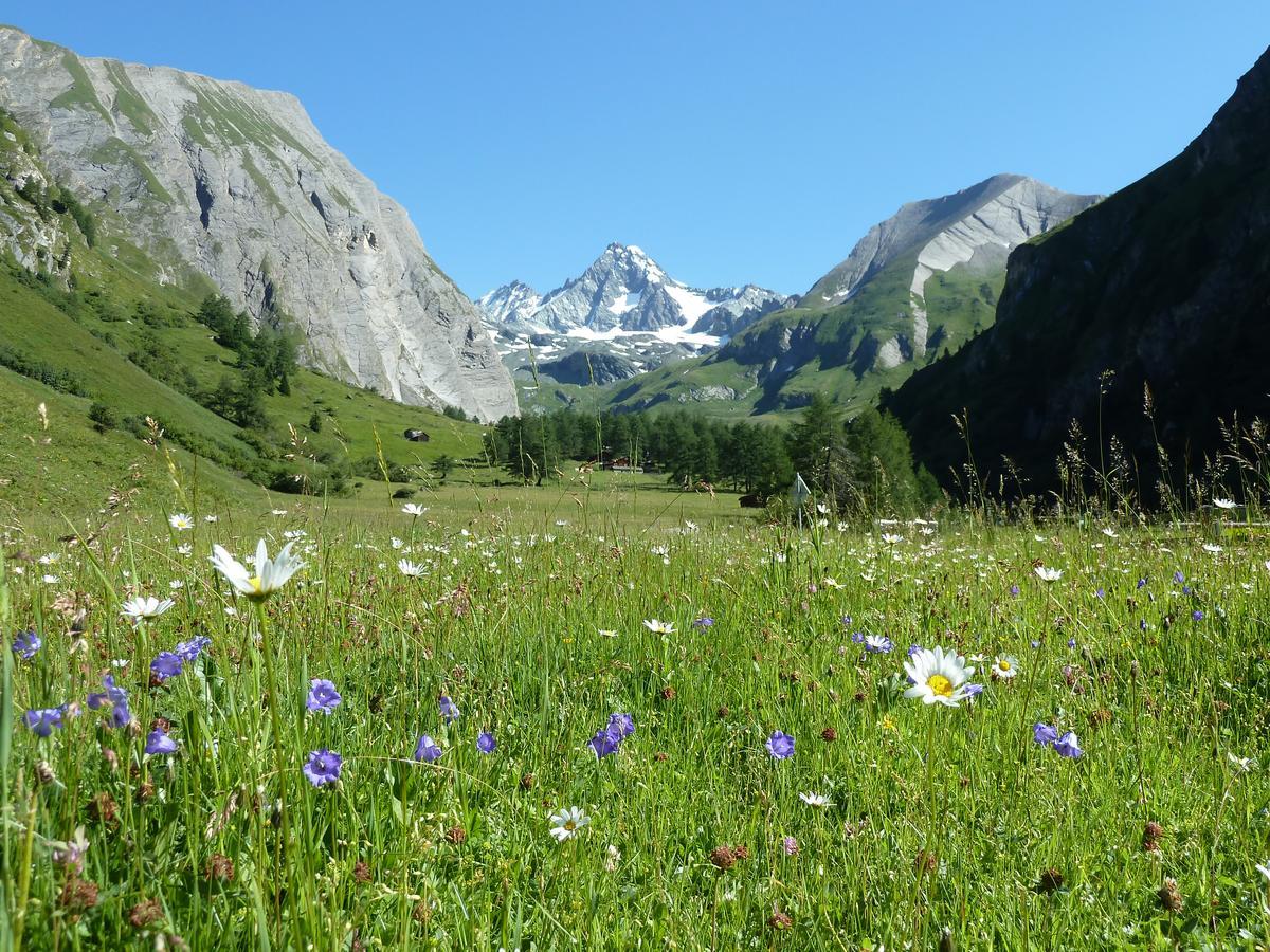 Готель Alpengasthof Lucknerhaus Кальс-ам-Гросглокнер Екстер'єр фото